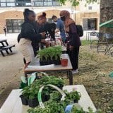 New City College held its very first Green Day to celebrate the launch of a new Green Strategy that will see the college prioritise an environmentally-friendly agenda.